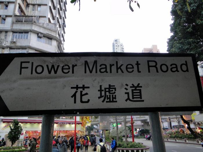 цветы, китайские цветы, цветочный рынок, цветочный рынок гонконг, flower market hong-kong